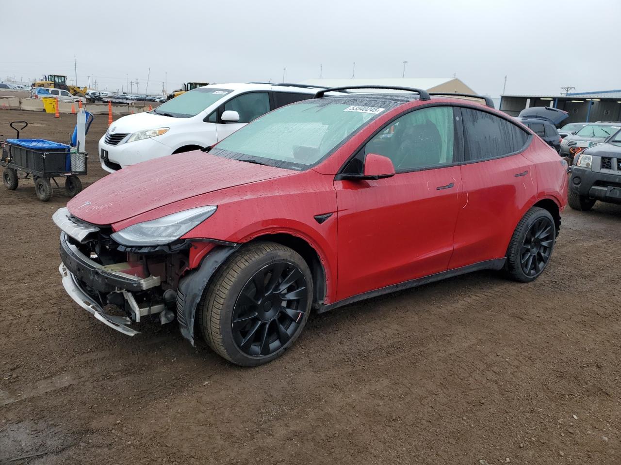 2021 Tesla Model y