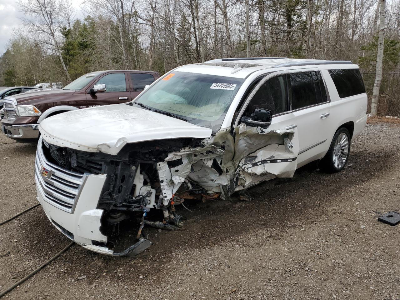 2018 Cadillac Escalade e ESV PLATINUM