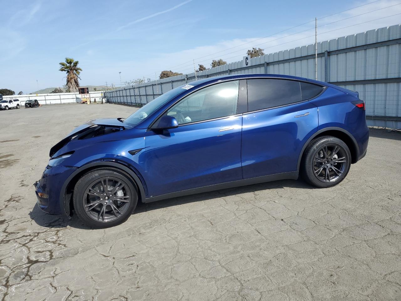 2025 Tesla Model y