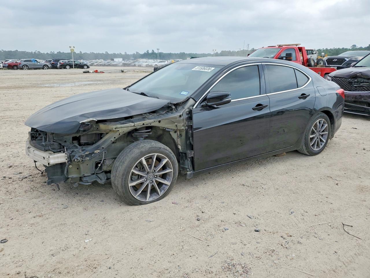 2019 Acura TLX