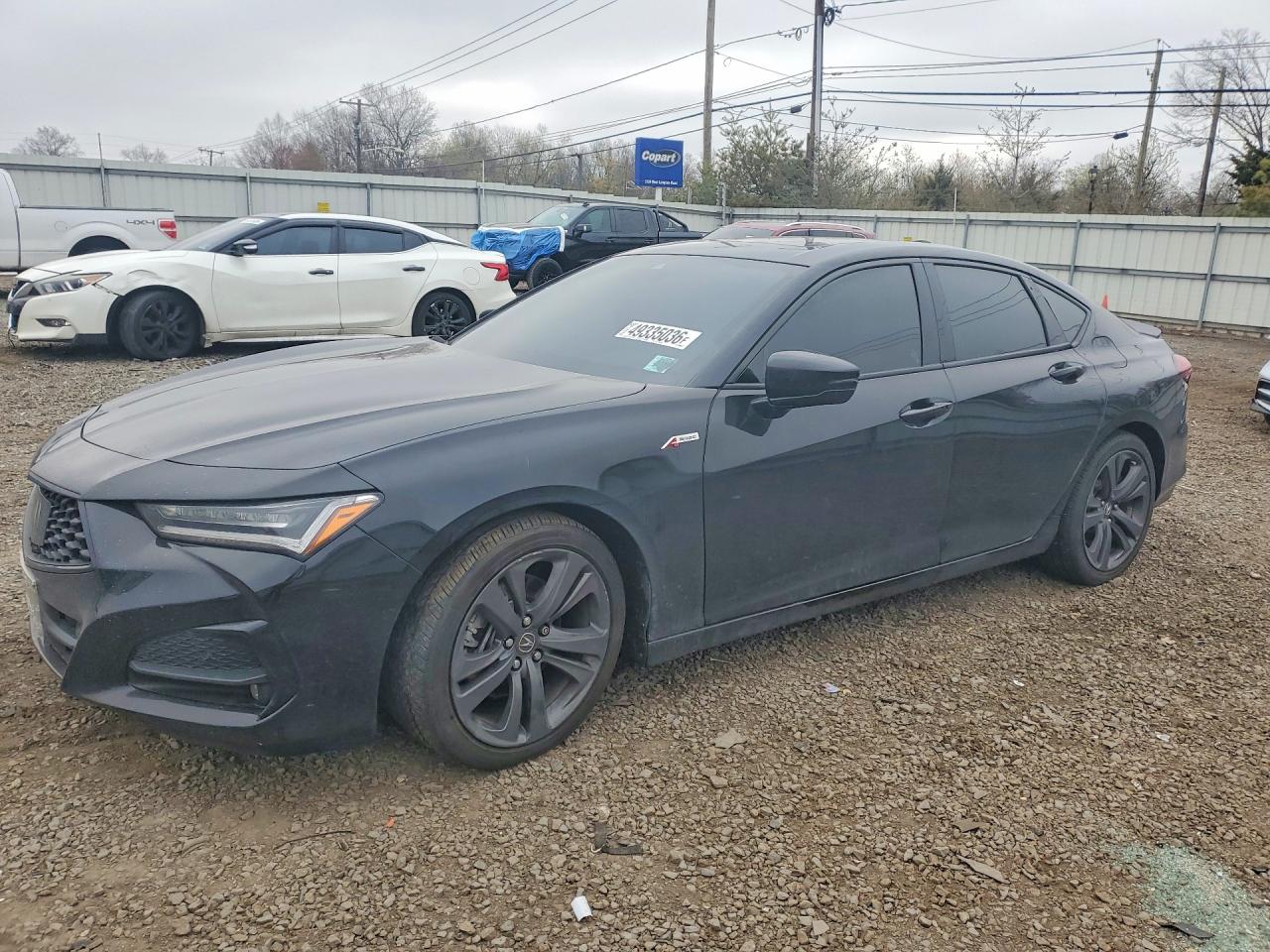 2023 Acura TLX