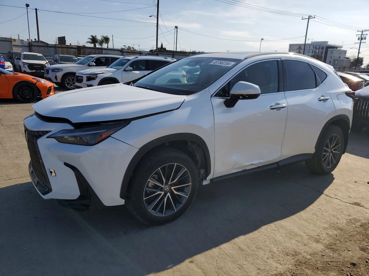 2024 Lexus NX 250
