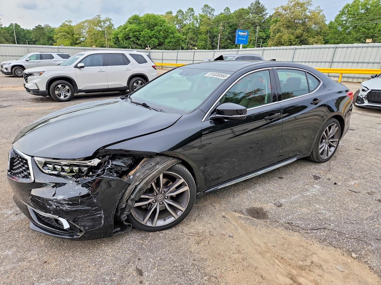 2019 Acura TLX
