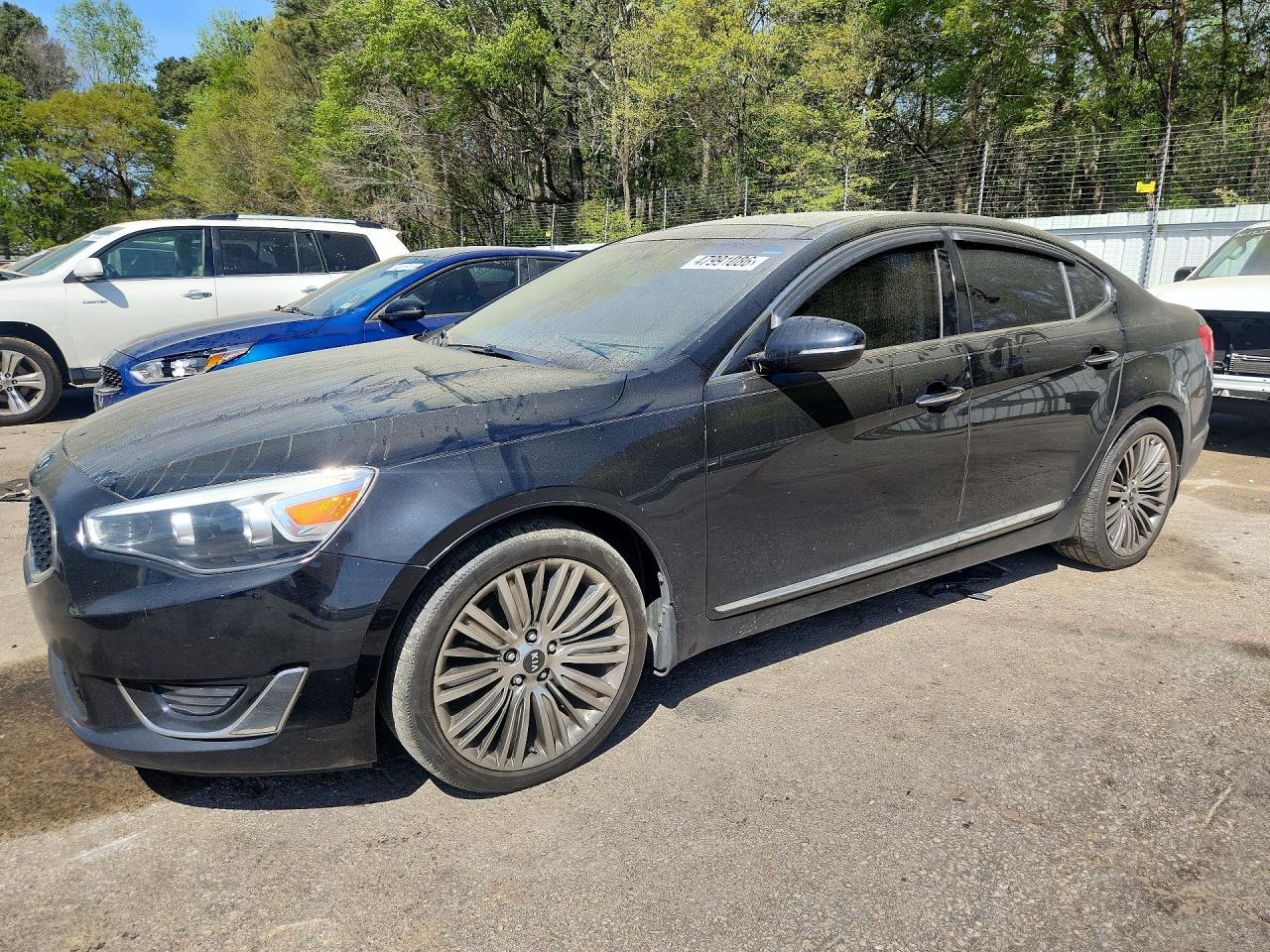 2014 Kia Cadenza