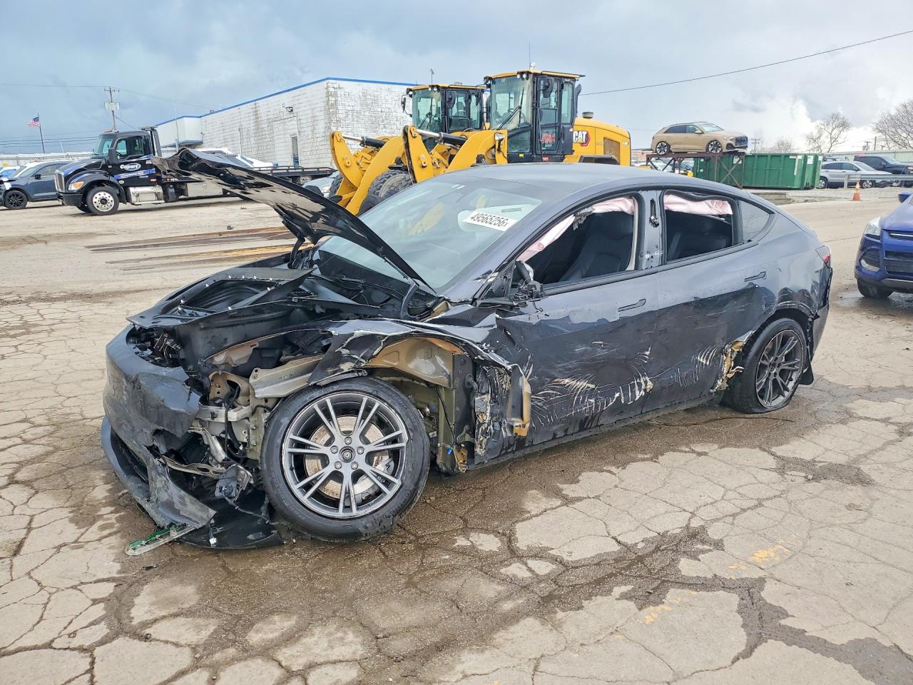 2025 Tesla Model Y