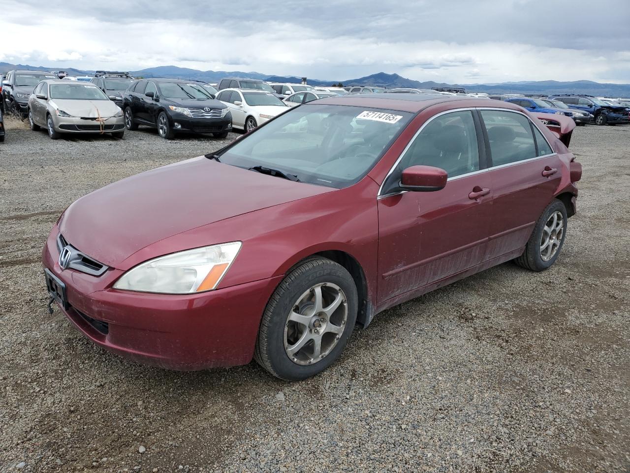 2004 Honda Accord ex EX