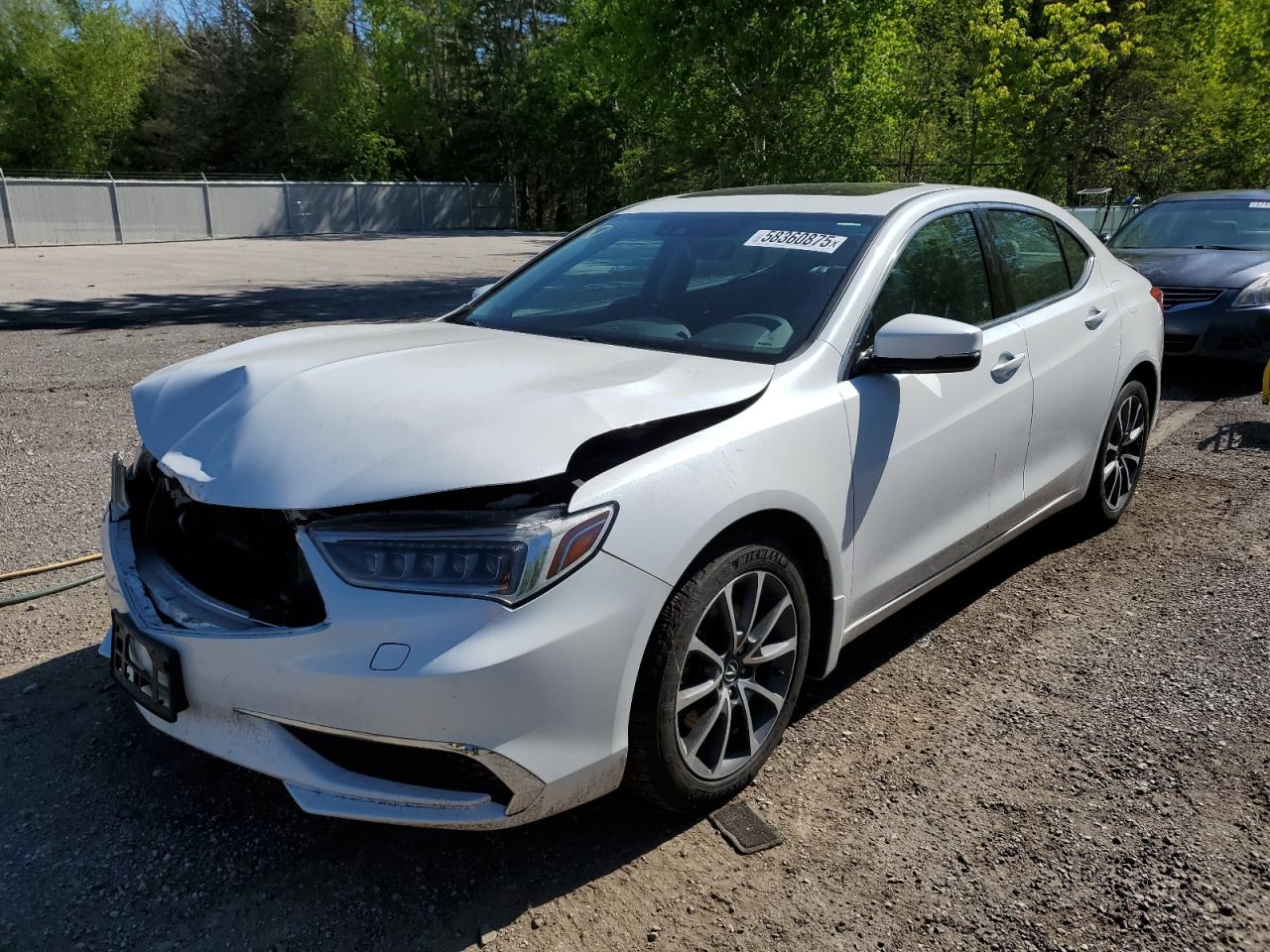 2019 Acura TLX