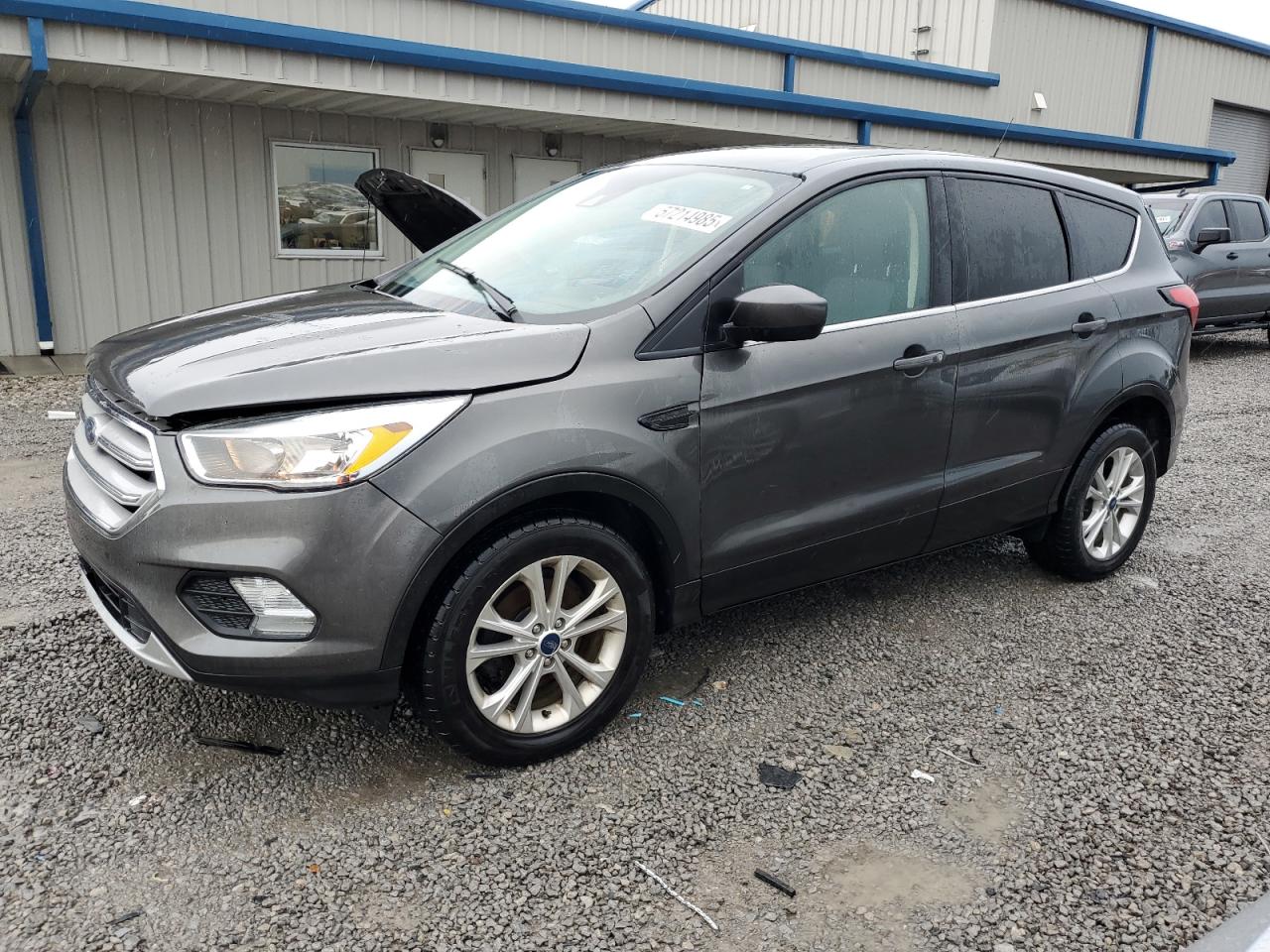 2019 Ford Escape se SE