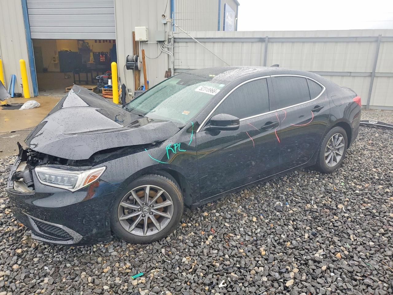 2019 Acura TLX