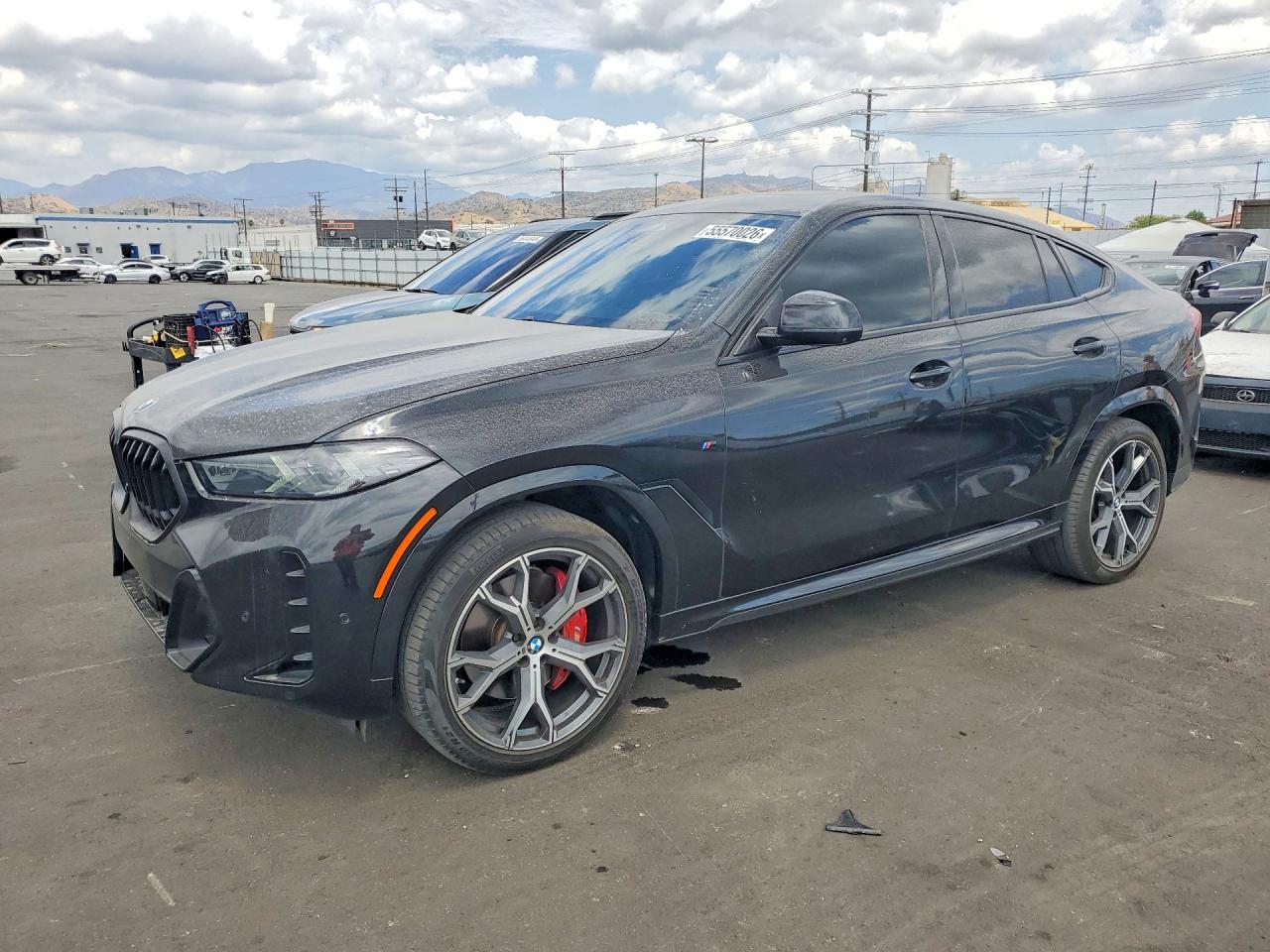 2024 BMW X6