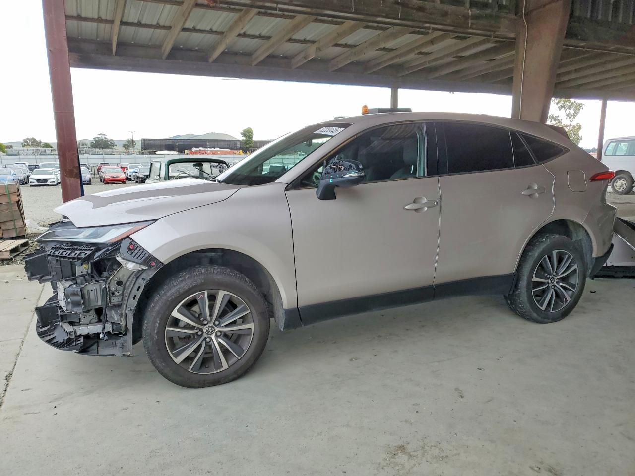 2024 Toyota Venza