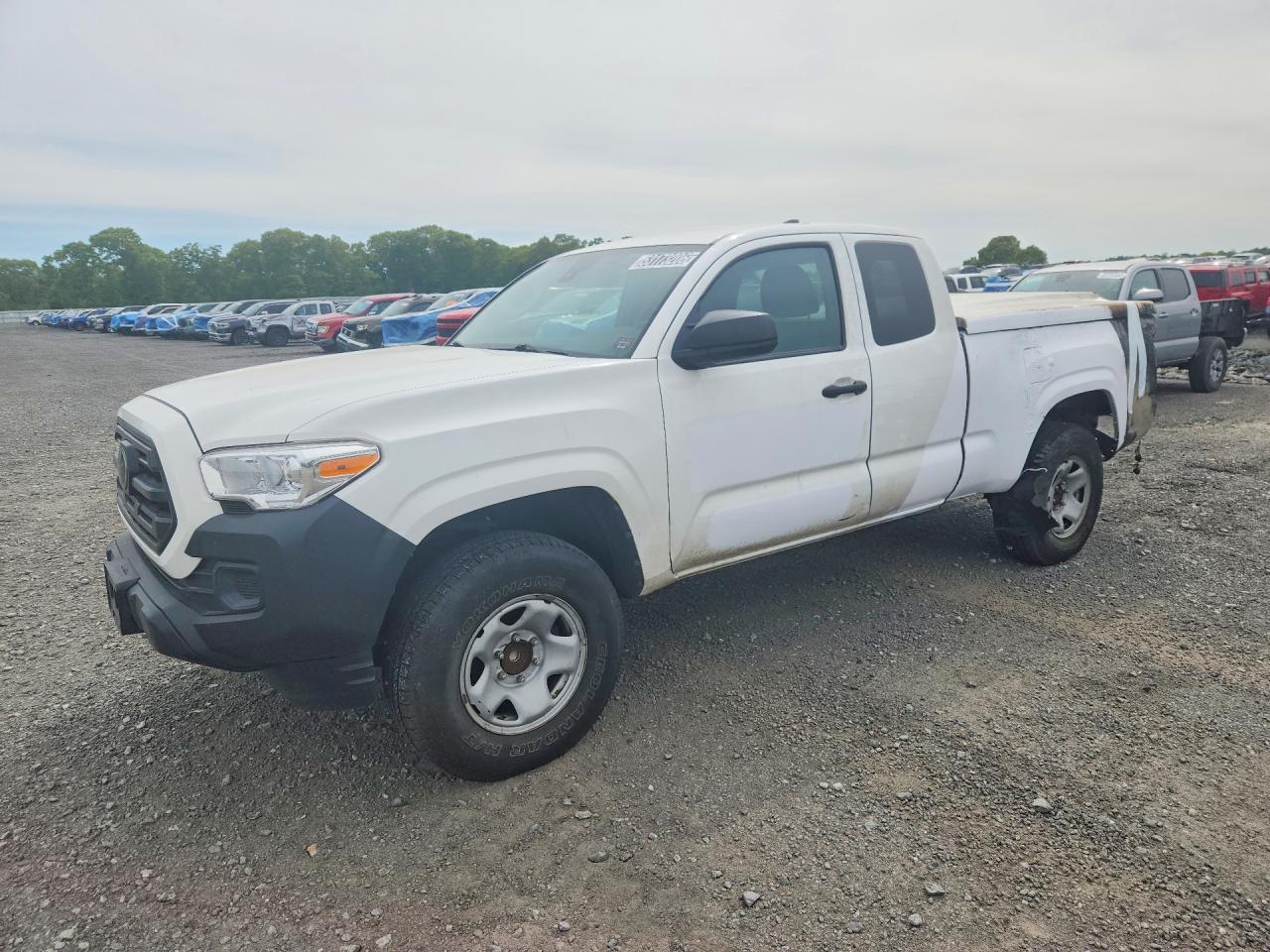2019 Toyota Tacoma