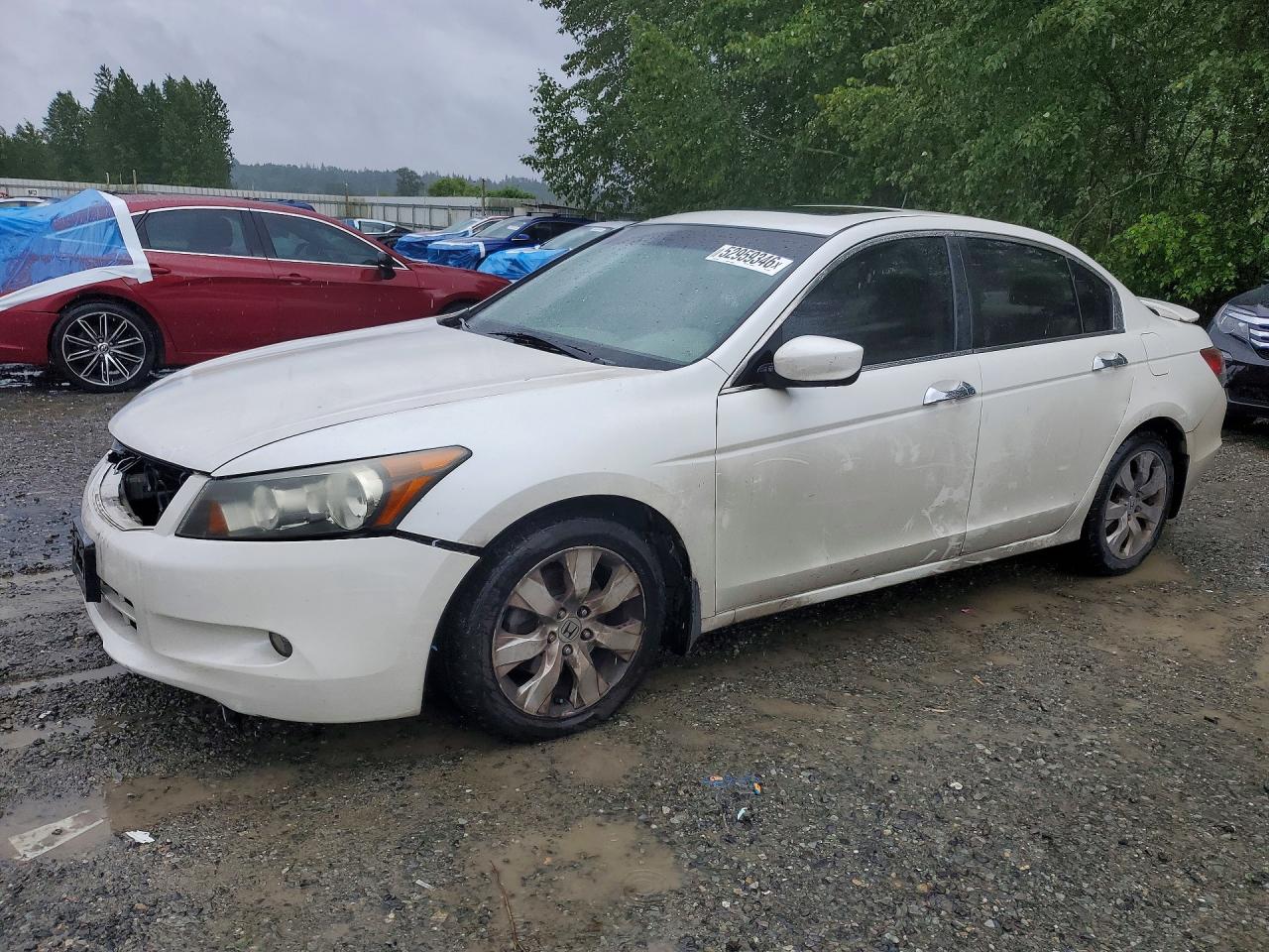 2008 Honda Accord
