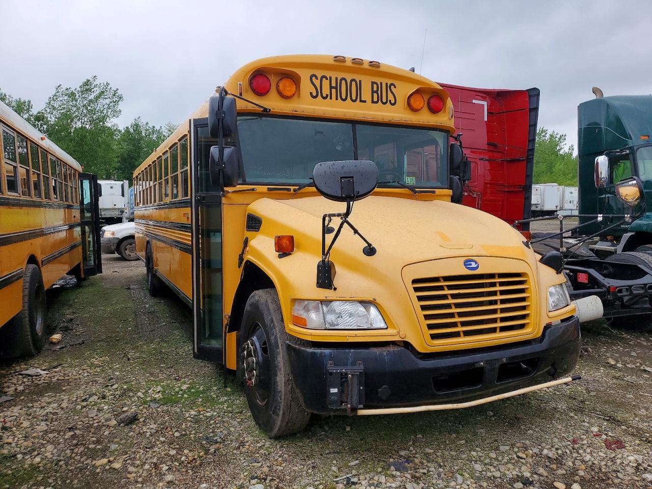 Bluebird School Bus