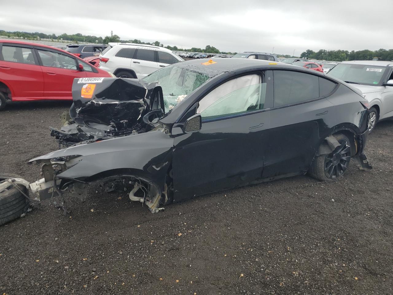 2021 Tesla Model y