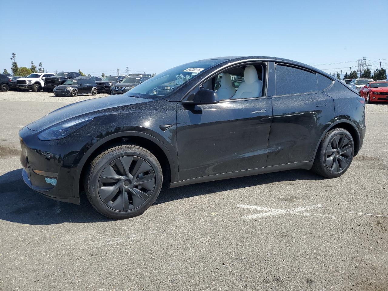 2025 Tesla Model y