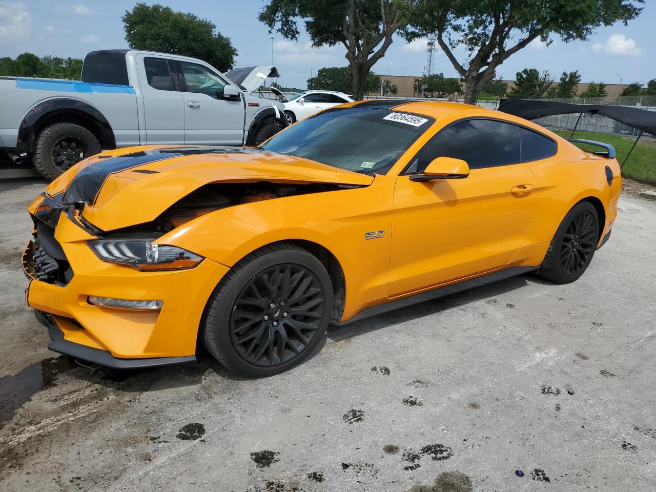 2019 Ford Mustang gt GT