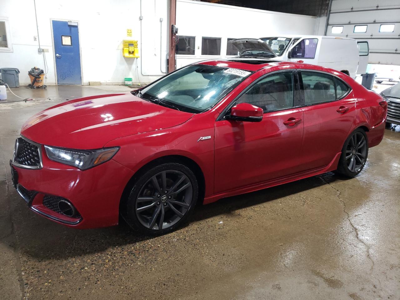 2019 Acura TLX