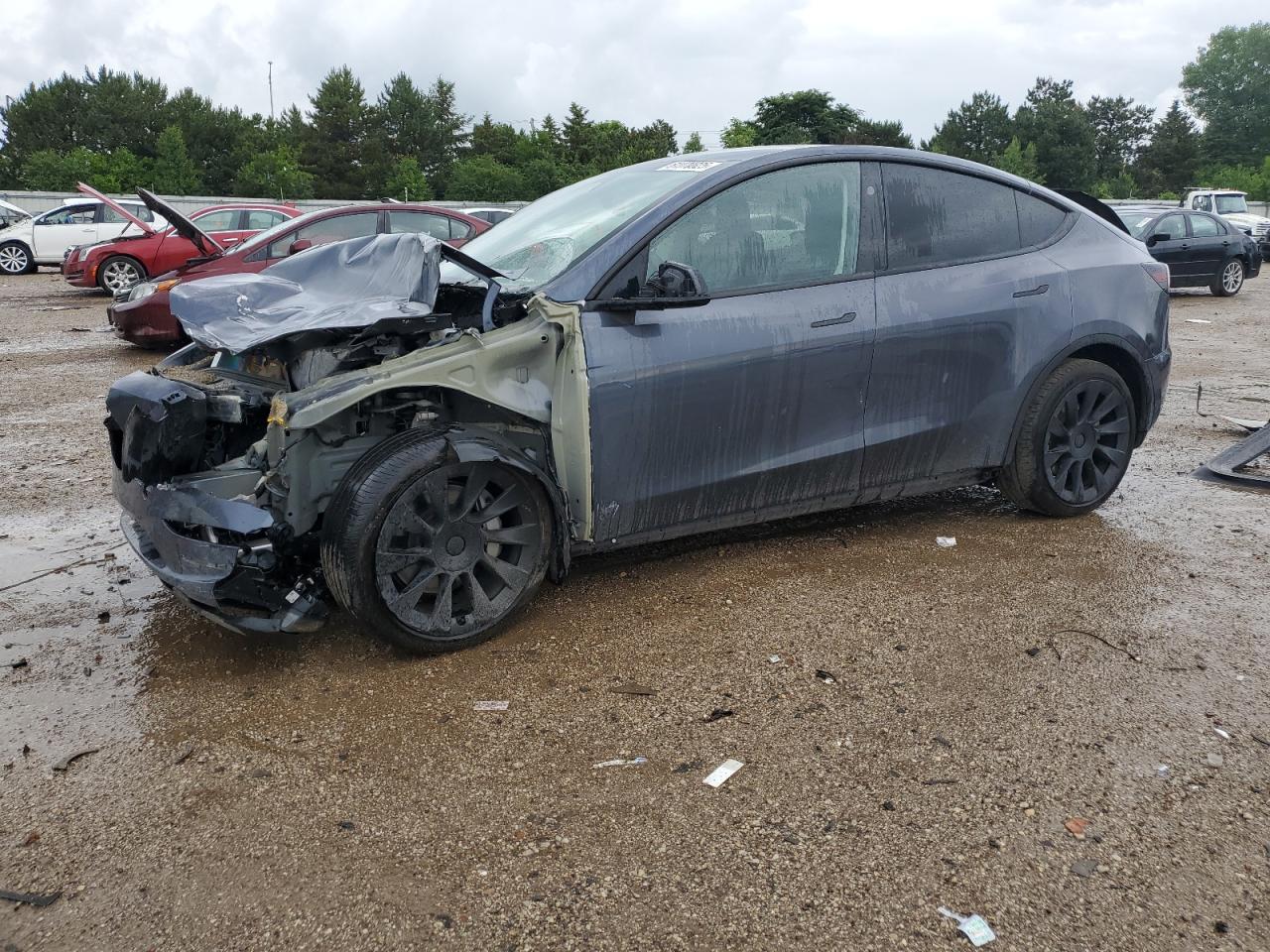 2023 Tesla Model y