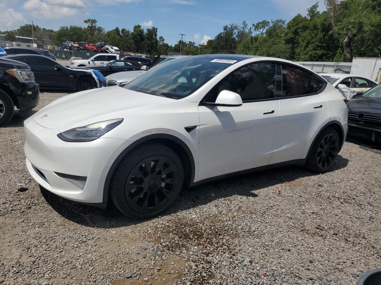 Tesla Model y