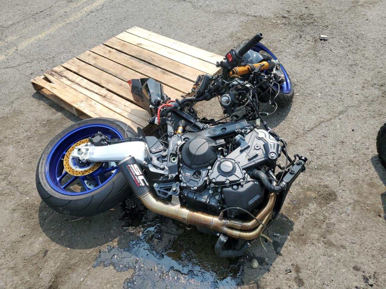 2024 Yamaha Mt09
