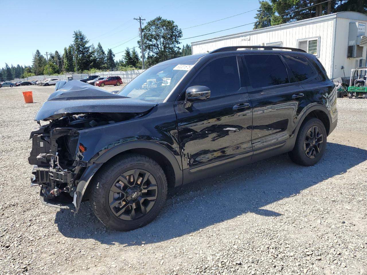 2024 Kia Telluride