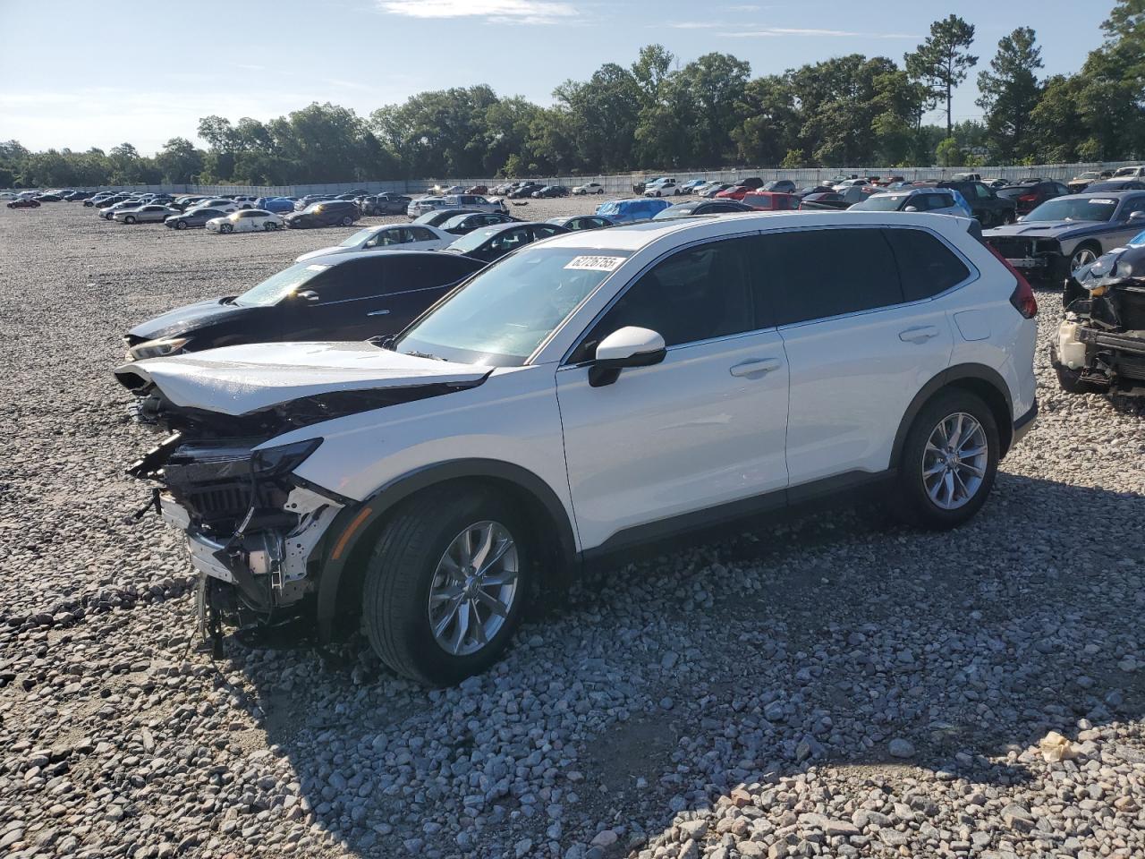 2023 Honda Cr-v exl EXL