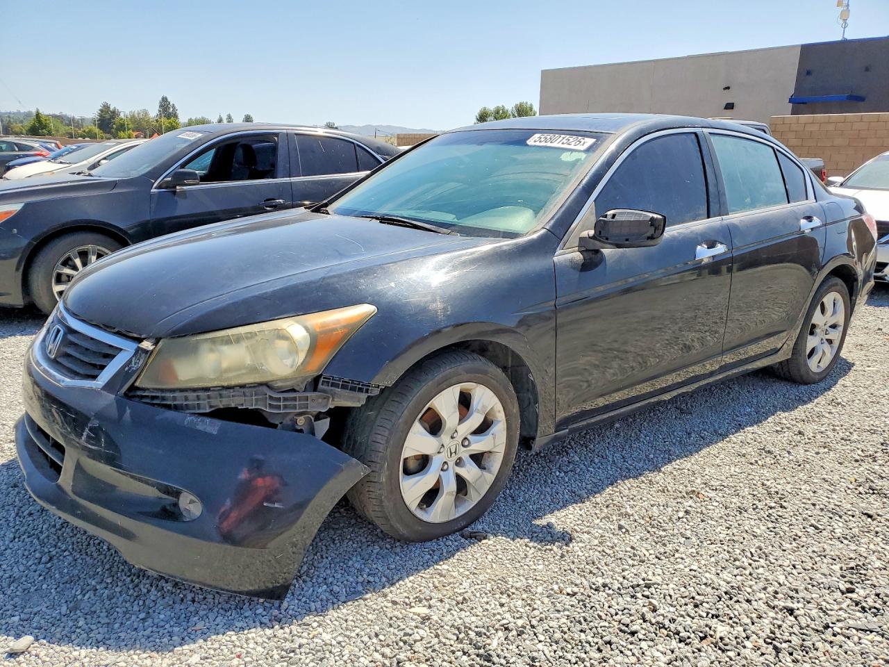 2008 Honda Accord