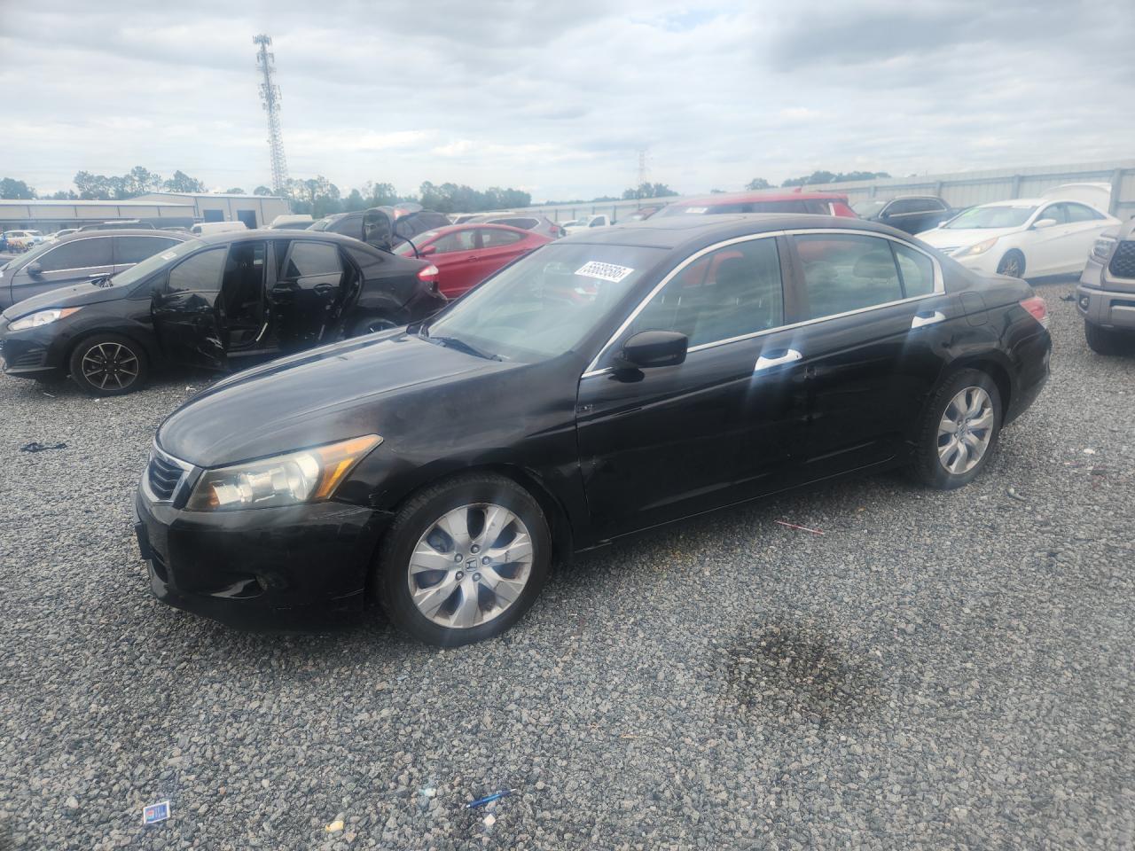 2010 Honda Accord