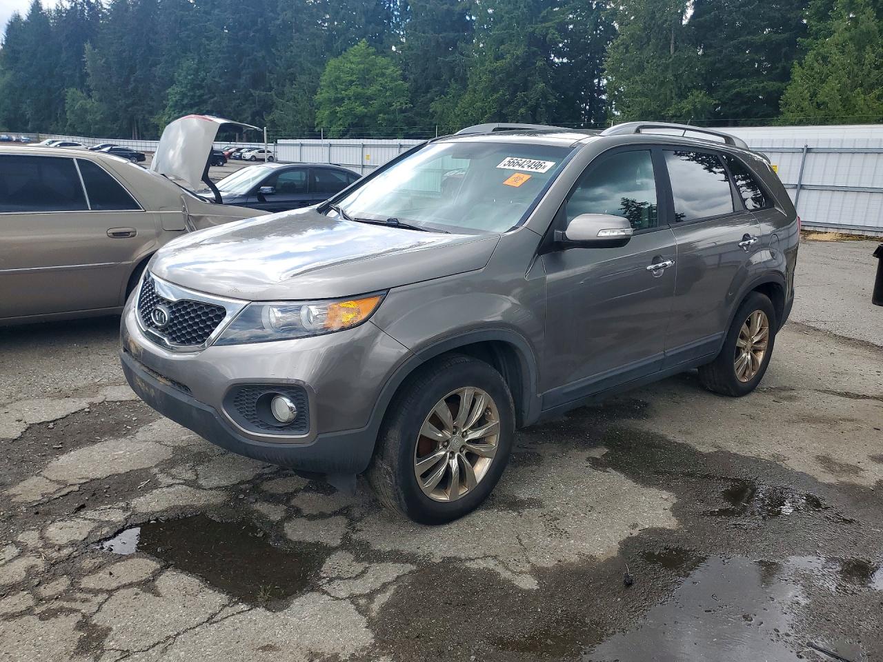 2011 Kia Sorento