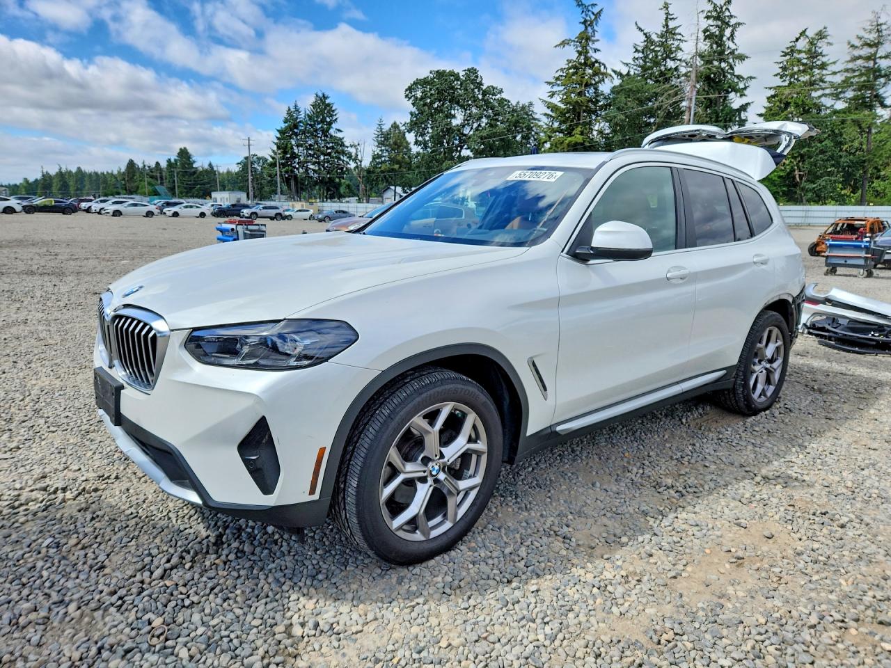 2022 BMW X3