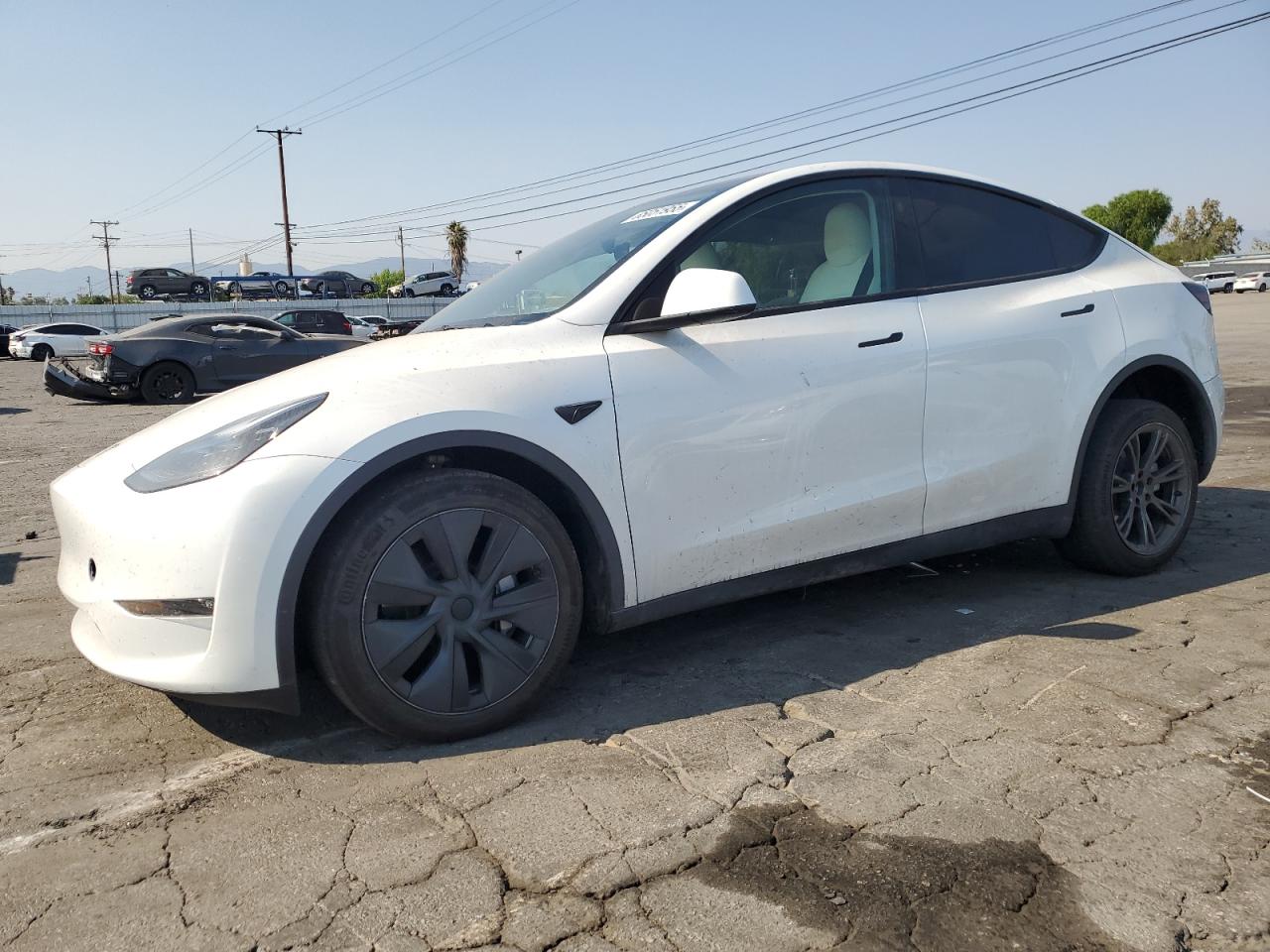2024 Tesla Model y