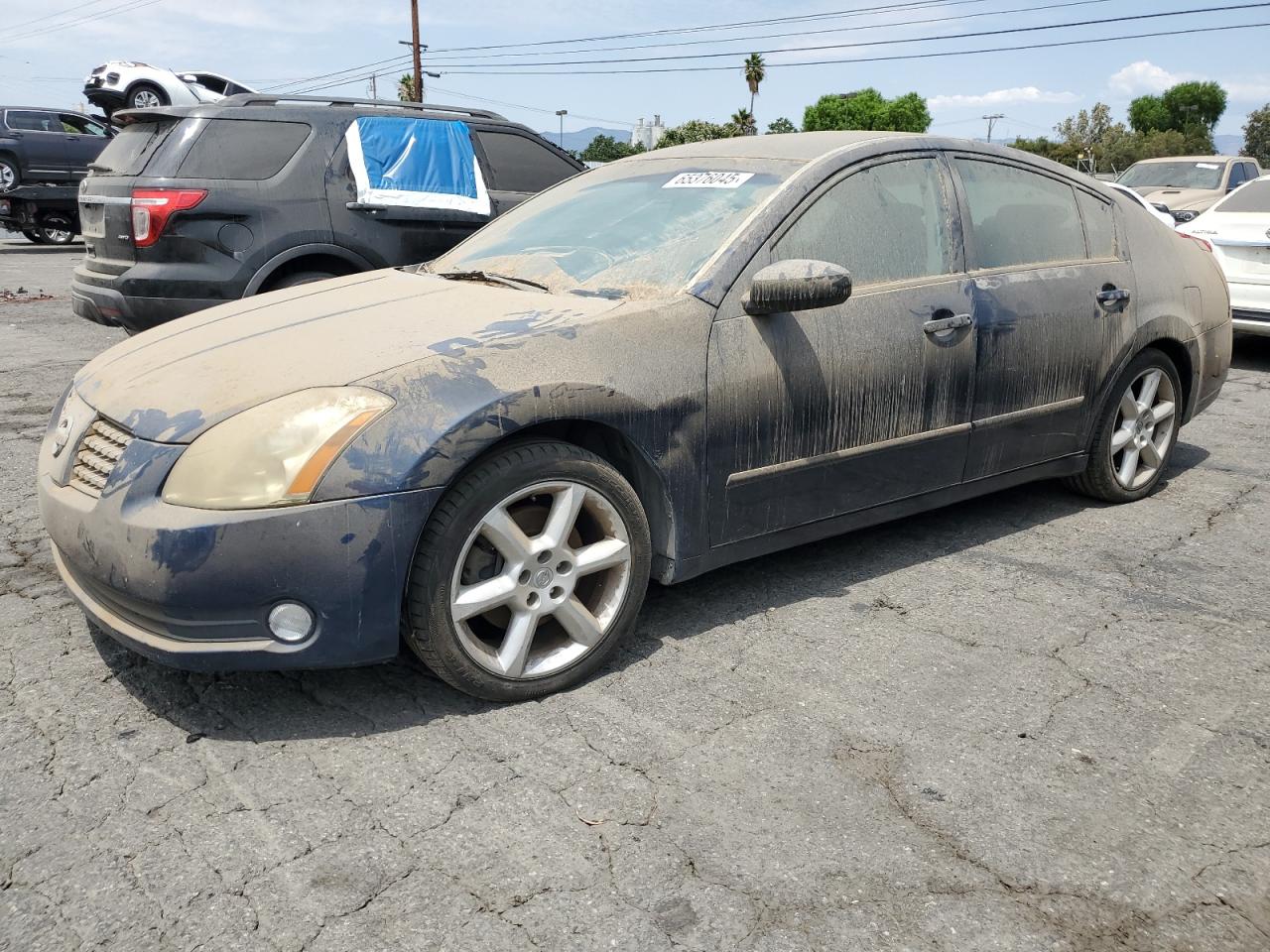 2006 Nissan Maxima se SE