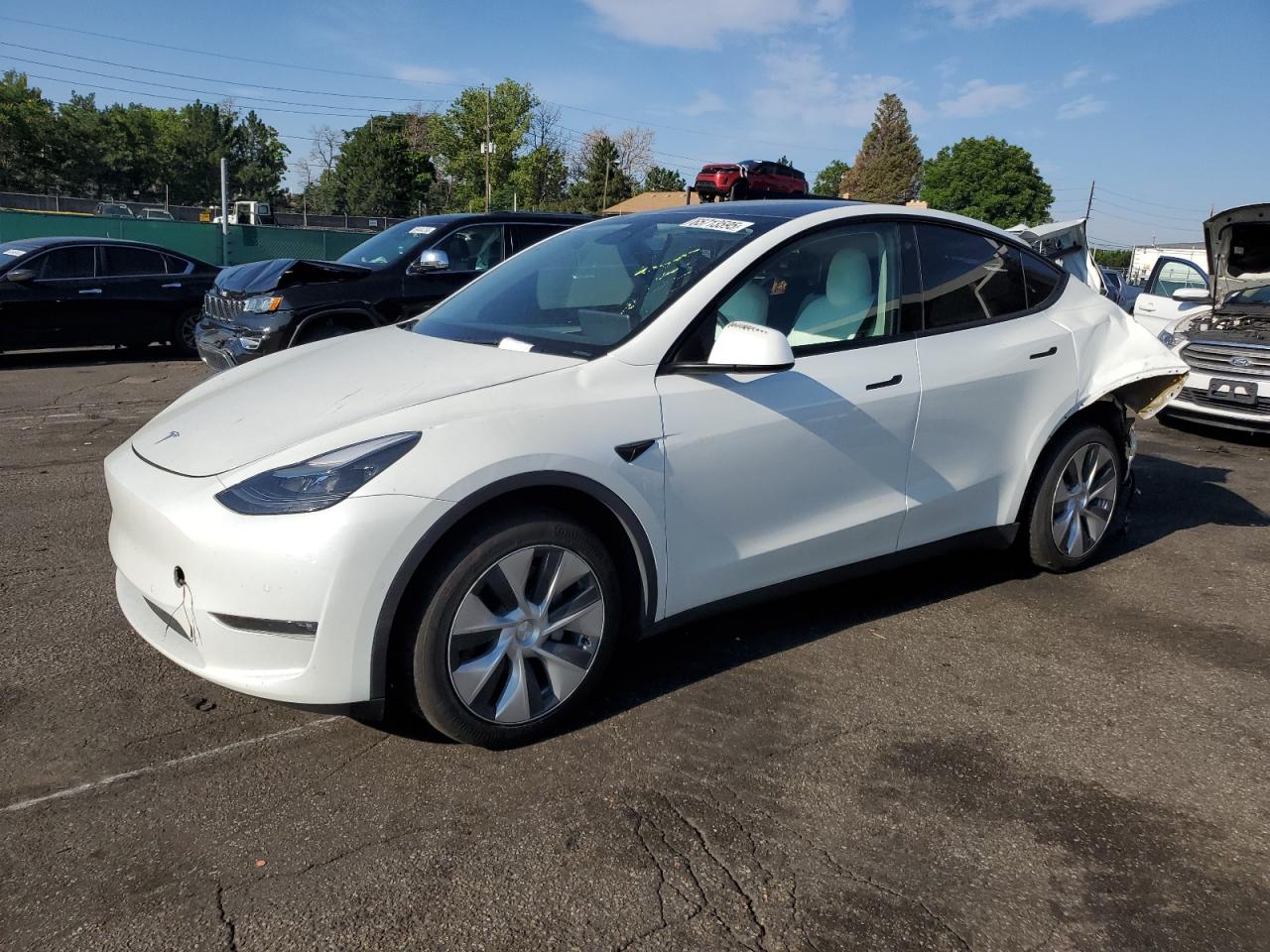 2022 Tesla Model y