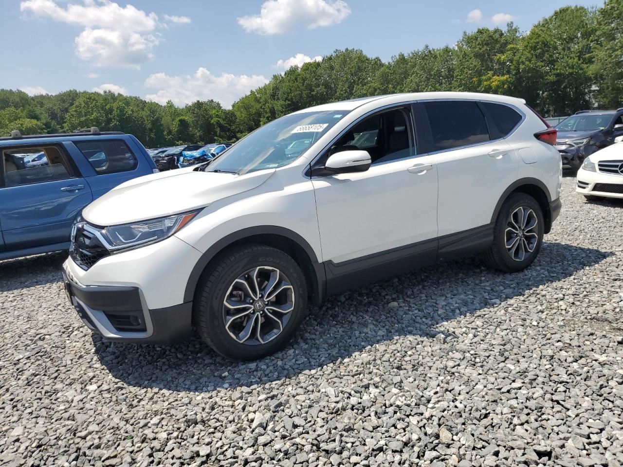 2022 Honda Cr-v exl EXL