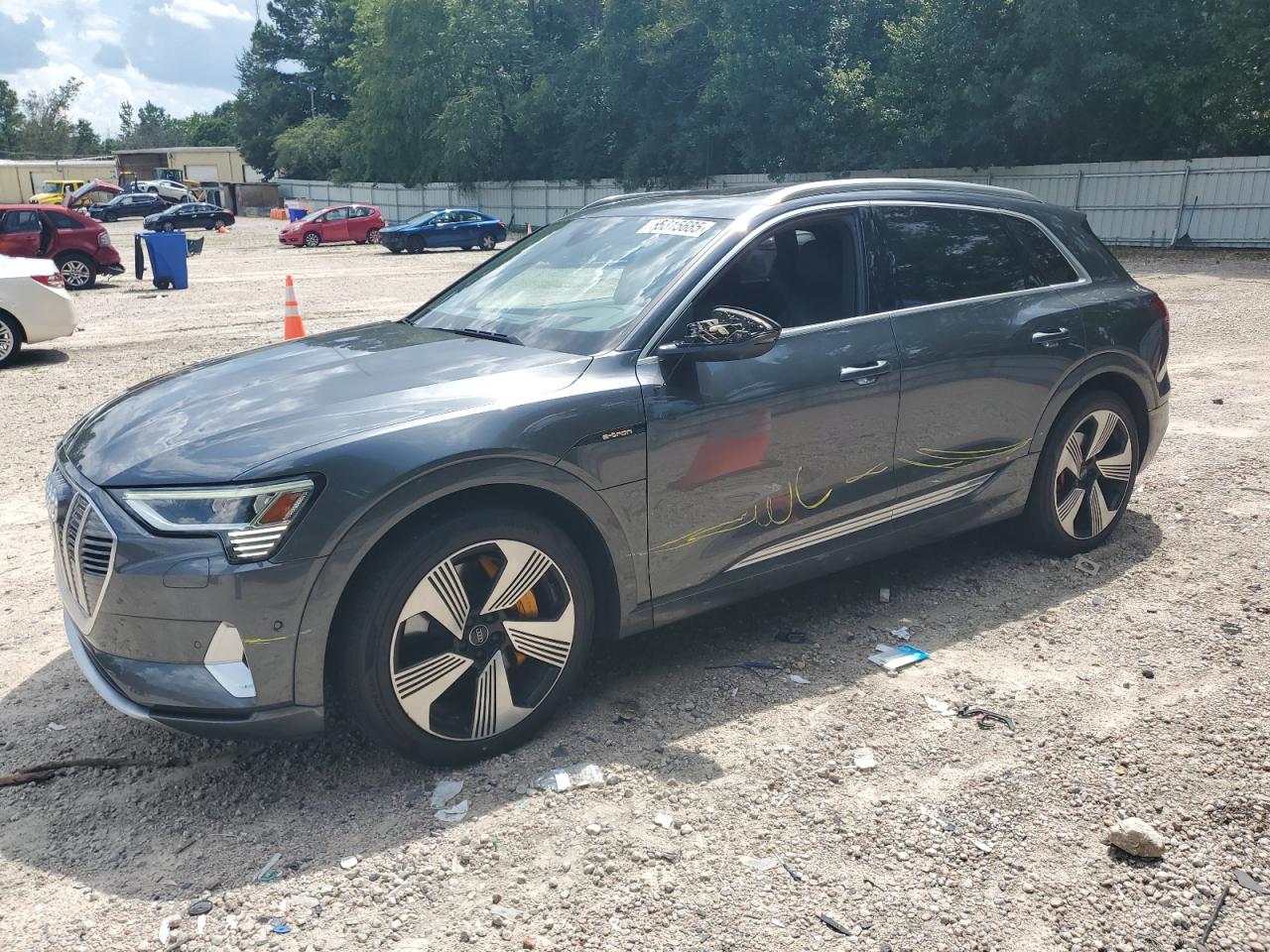 2019 Audi e-tron