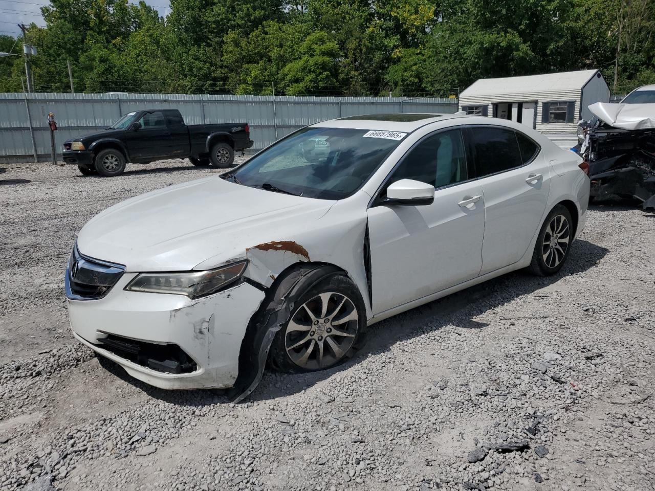 2015 Acura TLX