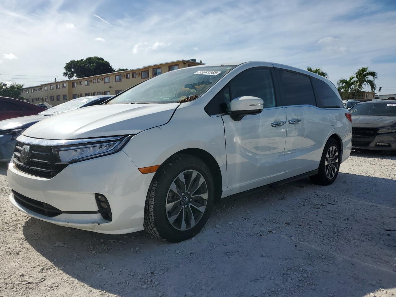 2024 Honda Odyssey ex EXL