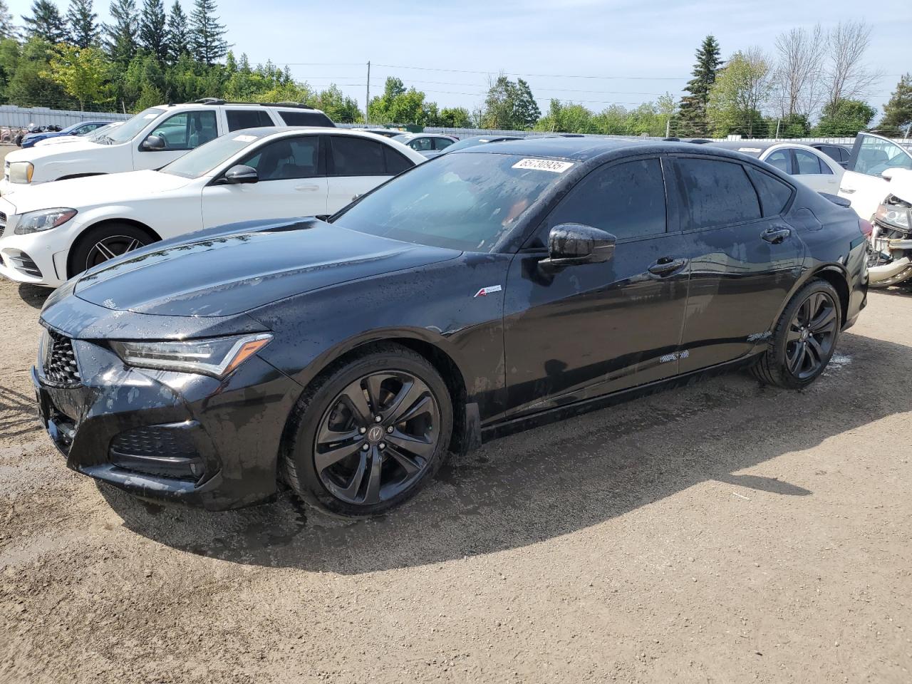 2021 Acura TLX