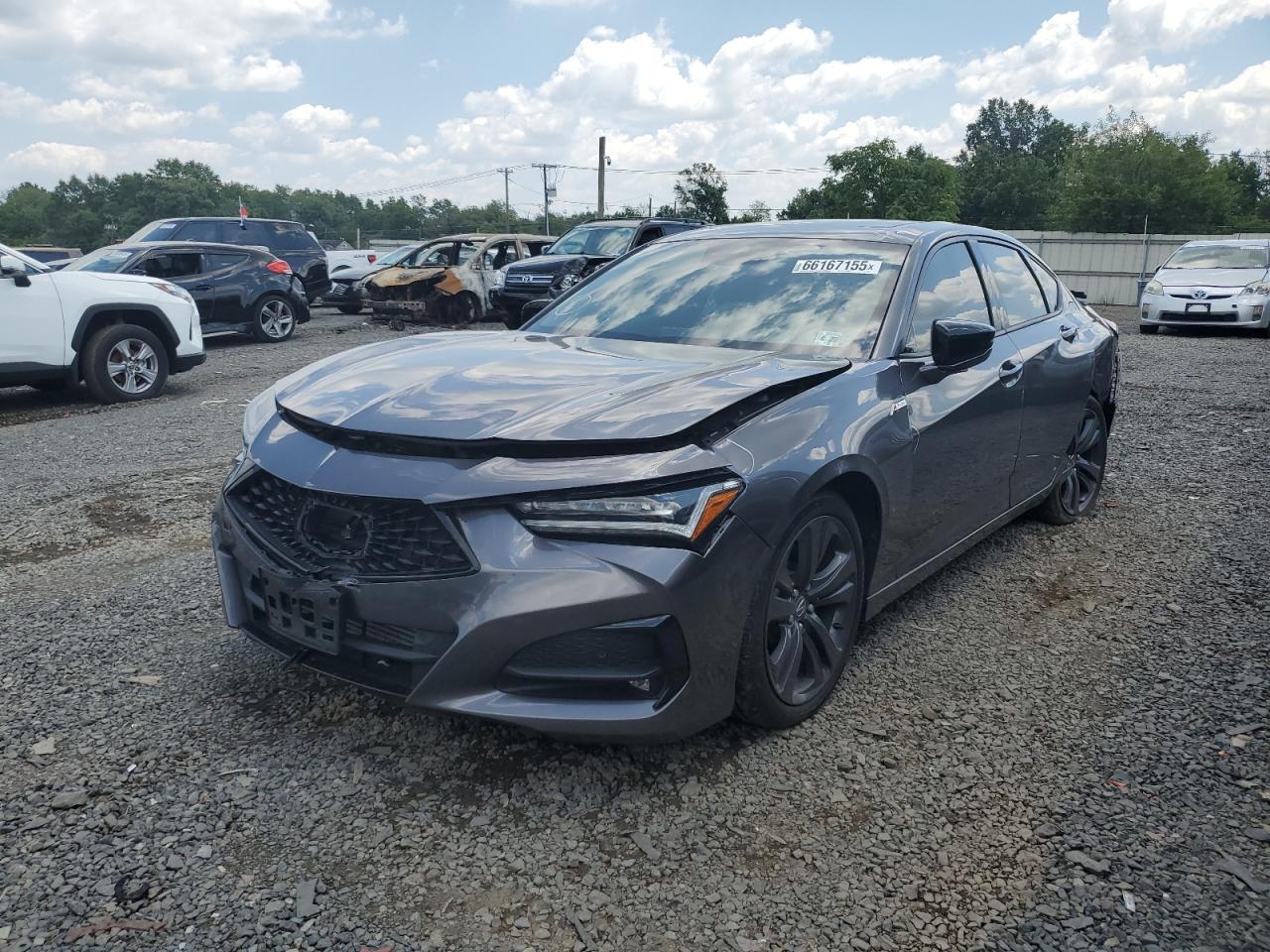 2023 Acura TLX