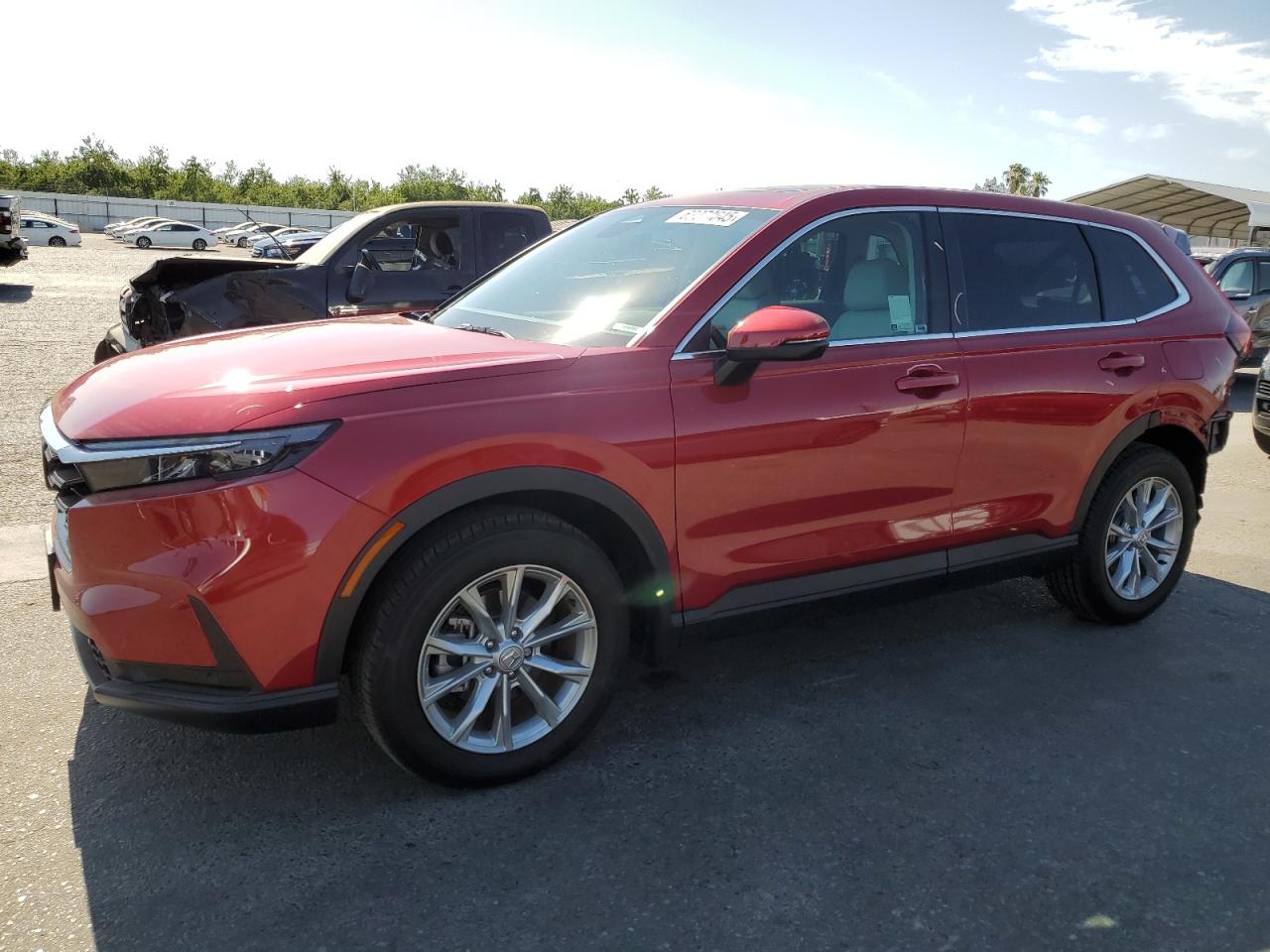 2024 Honda Cr-v Exl