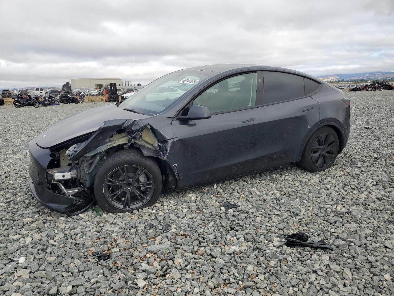 2025 Tesla Model y