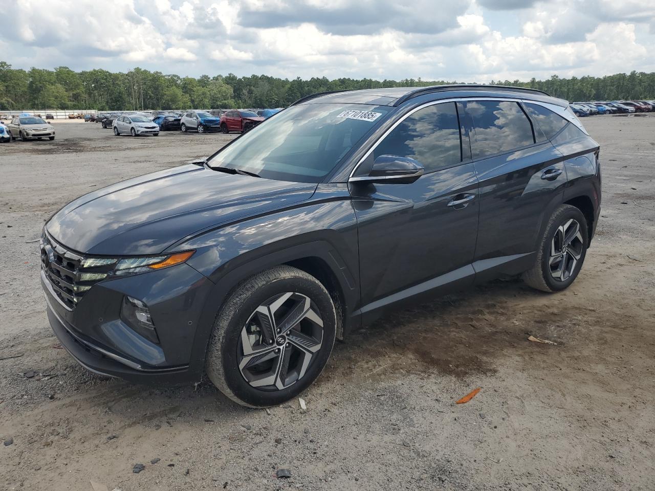 2023 Hyundai Tucson limited LIMITED