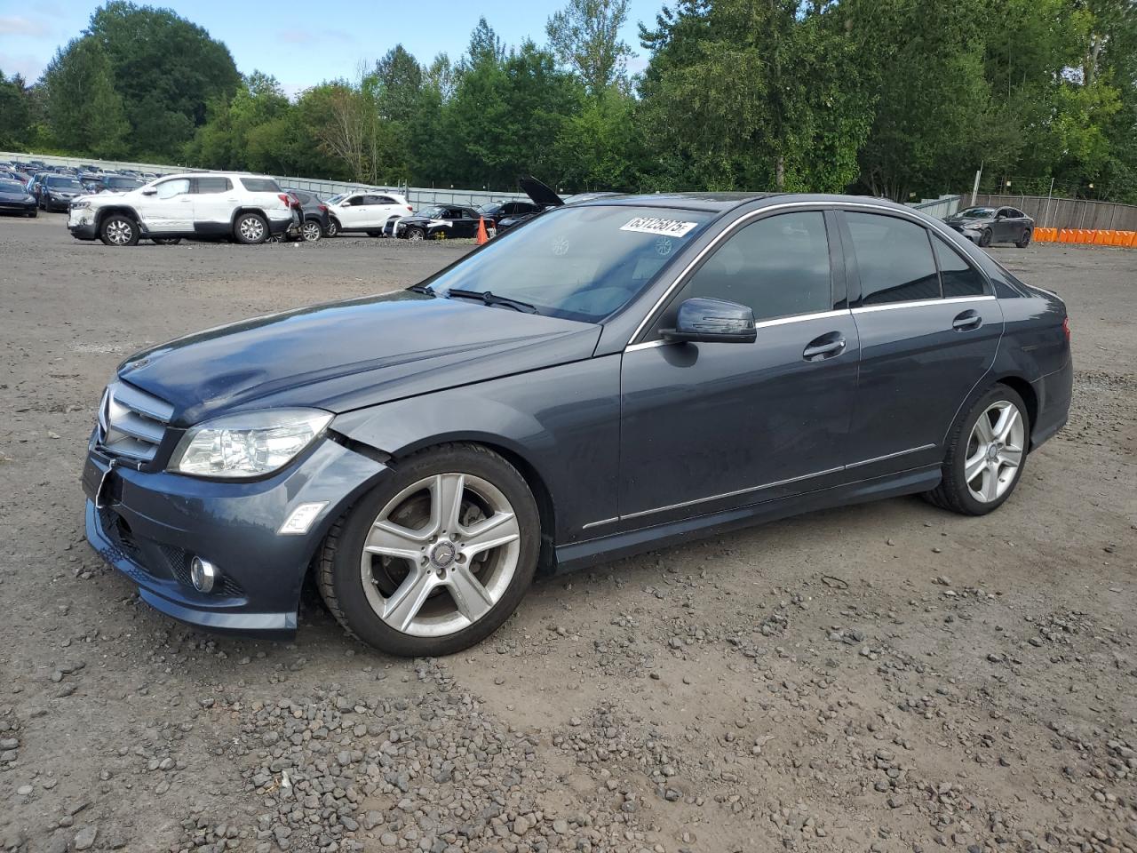 2010 Mercedes-benz C 300