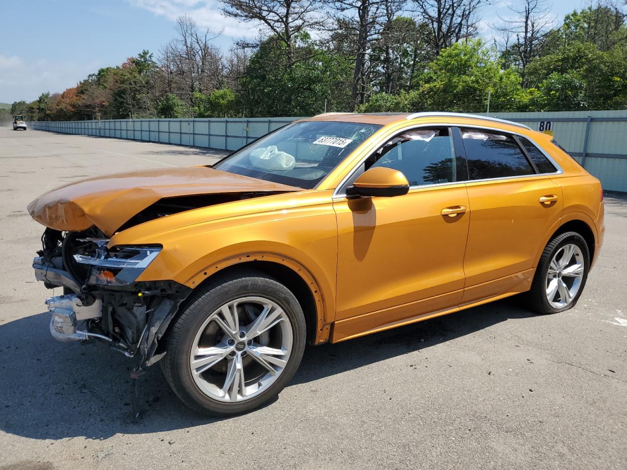 2019 Audi Q8