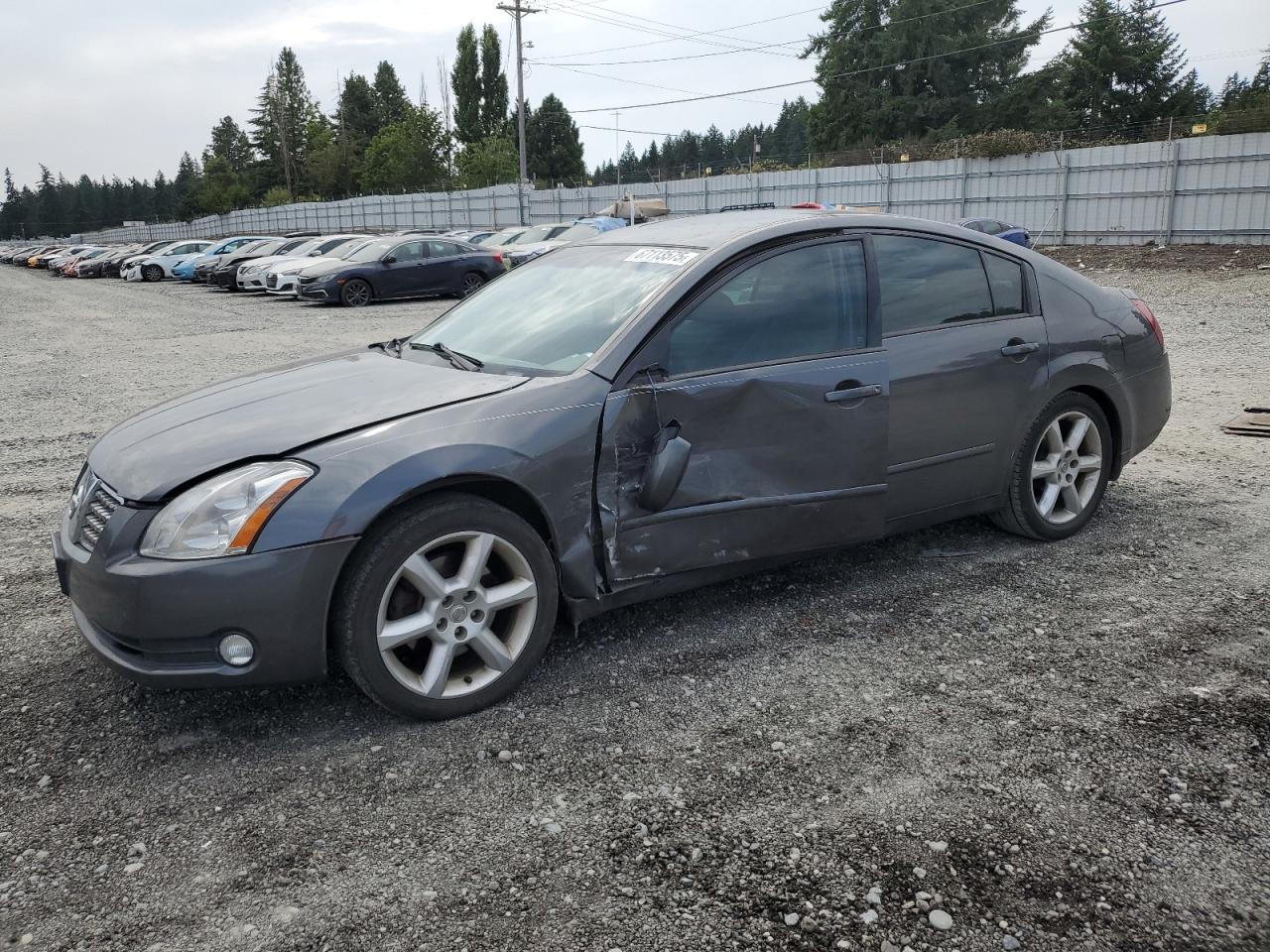 2005 Nissan Maxima se SE