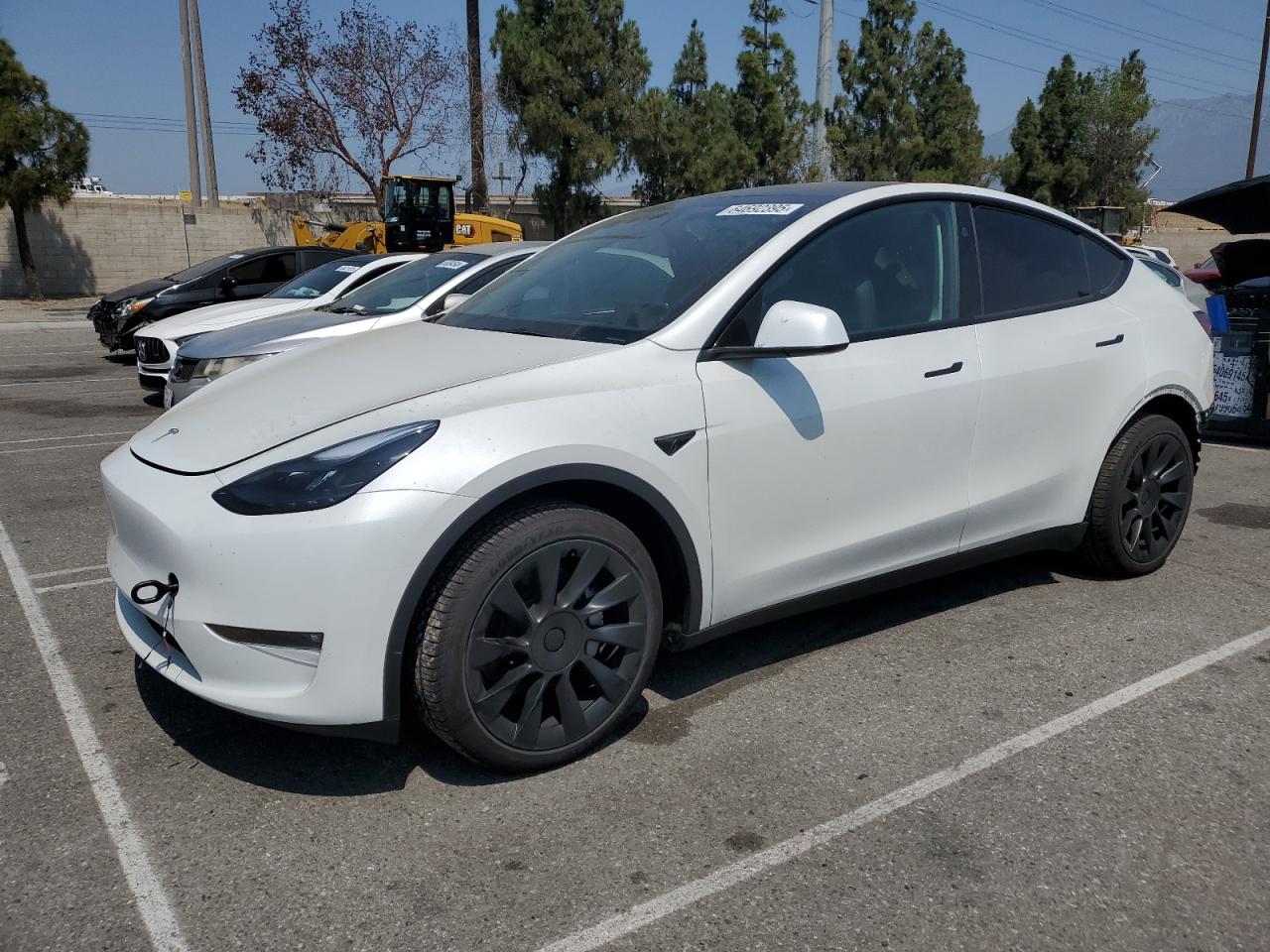2025 Tesla Model y