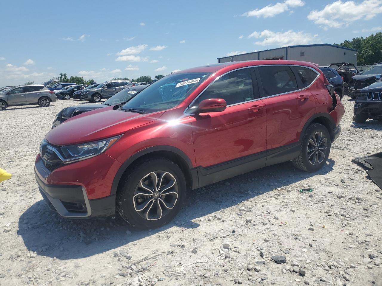 2022 Honda Cr-v exl EXL
