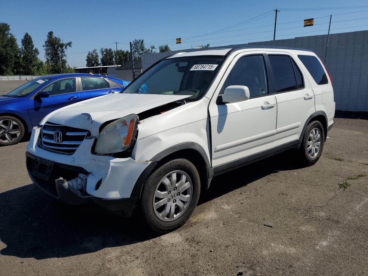 2005 Honda Cr-v se SE