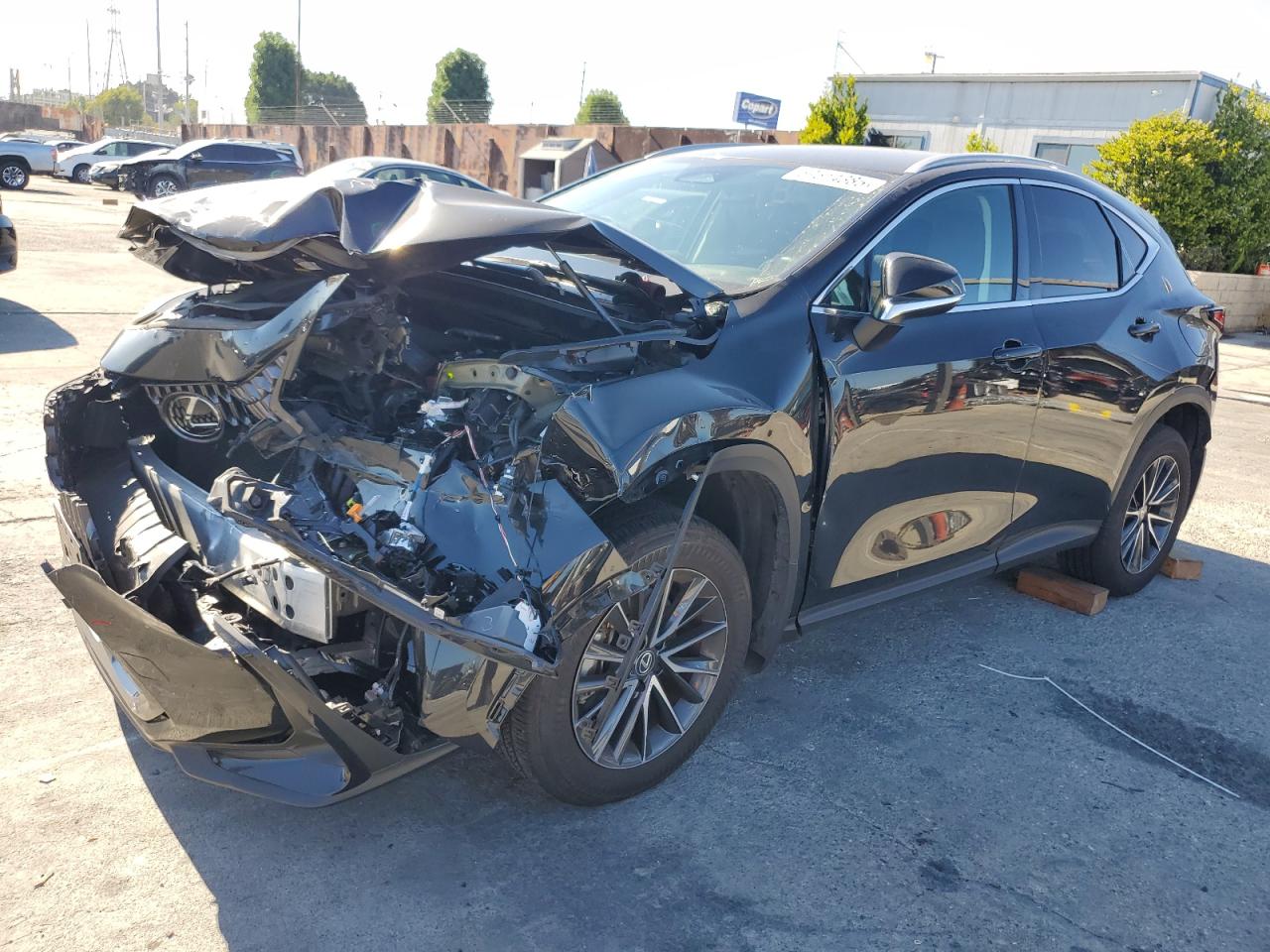 2024 Lexus Nx 250 bas 250 BASE